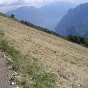 allargamento pascoli (8)